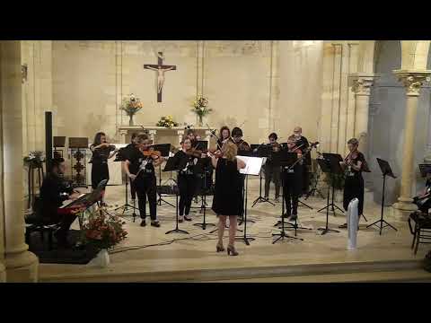 El Toro - Don Brubaker