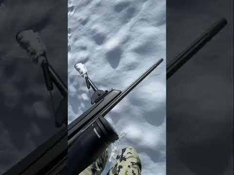 Sako 85 Finnlight II