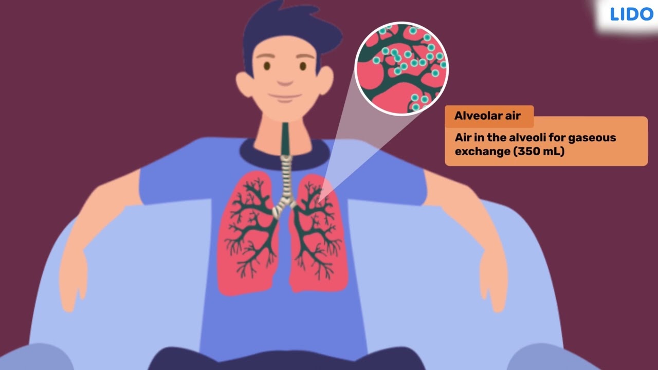 Lung Capacities | The Respiratory System| Class 9 Science ICSE