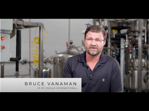 Pall’s Filtration Technologies for Cannabis Oil Extraction – Evello International Testimonial