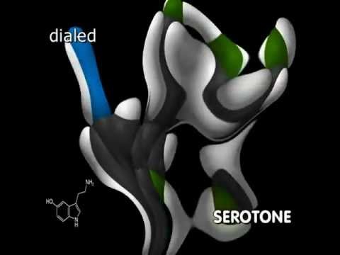Dialed - Serotone