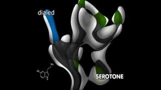 Dialed - Serotone
