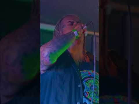 Vivid Dreams - Heavenly Trip to Hell