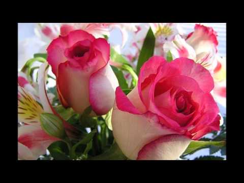 С днём рождения, Ирина (С-Петербург)!!!