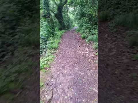 by:John Jerome Neuda Asuncion