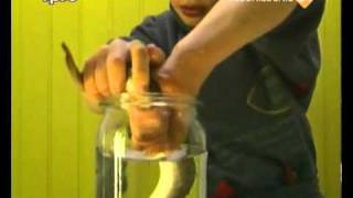 Achterwerk In De Kast