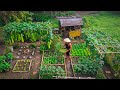 From Abundant Harvests To Cozy Meals Memories In My Little Garden