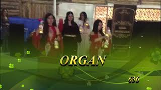 ALMİRA ORGANİZASYON KONYA KINA GECESİ