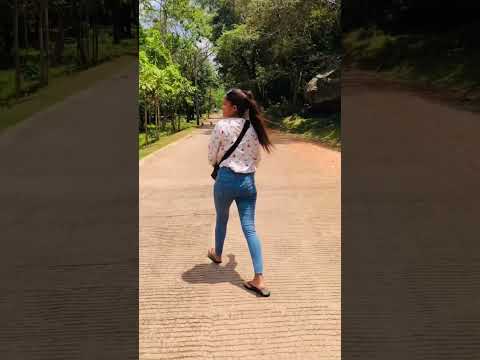 My youtube channel subscribe #2023#srilanka#vlog#myvlogvideo#subscribevideo#youtubesinhala#shashi#