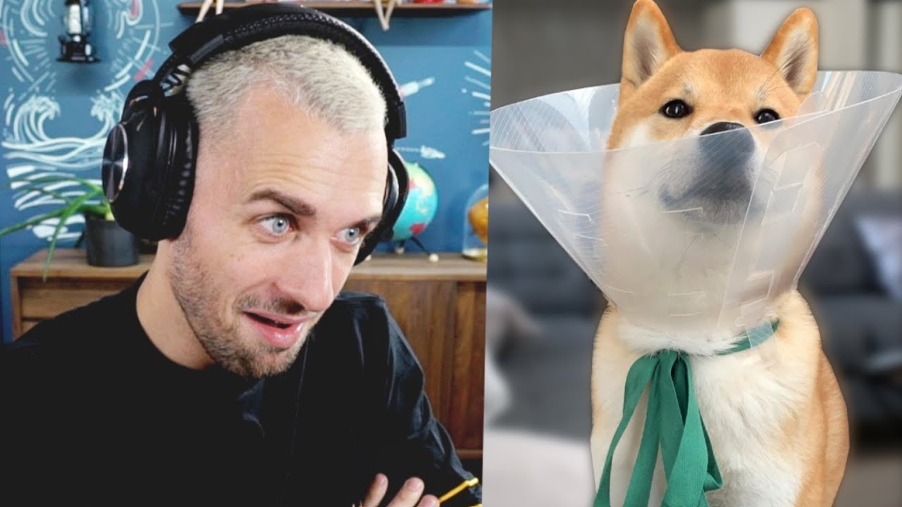 Vous ne savez pas ce dont ils sont capables thumbnail