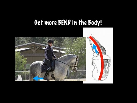 YouTube video about: How to get your horse to bend?