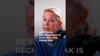 Komt de robotrechter onze rechtspraak overnemen