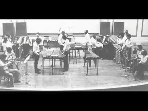 Steve Reich - Music for 18 Musicians - Live in Paris 1976