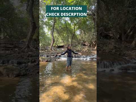 Best Resort In Sasan Gir - Gandi Gir Resort.. #sasangir #girforest #girnationalpark #sasan #gandigir