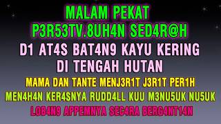 Download lagu Malam Pekat di tengah Hutan bersama Mama dan Tante Lia_KISAH NYATA CERPEN ROMANTIS mp3