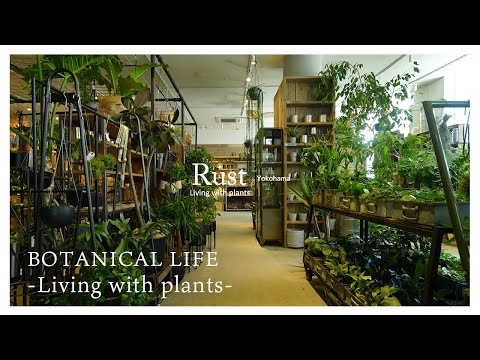 園芸 テネリフェ島バグロス