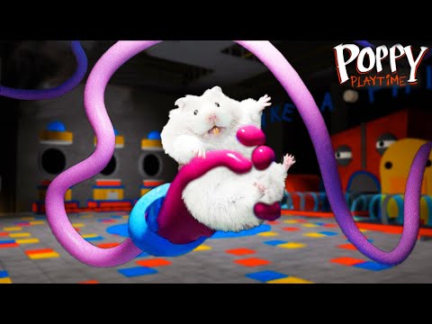 Mr Hamster Escapes The Awesome Of Huggy Wuggy Maze | Hamster And Poppy Playtime IRL| Hamster Life