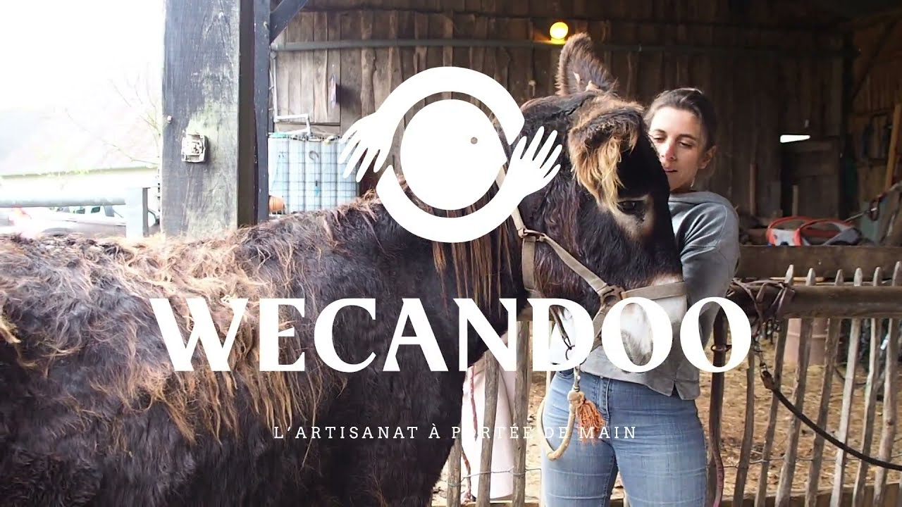 Fabriquez vos savons au lait d'ânesse - Video