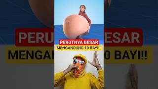 Download lagu This Mother's Stomach Is So Big She's Pregnant With 10 Babies‼️ #shorts #facts #science #animation mp3