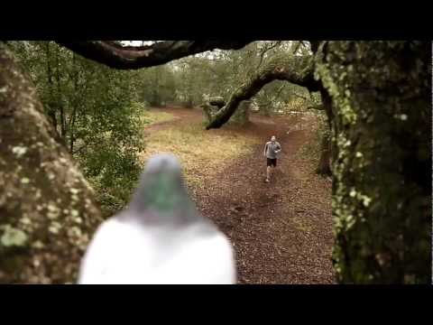 The ASICS Pigeon Workout