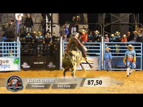 Rodeio de Maracaí 2015 - MELHORES MONTARIAS / SÁBADO