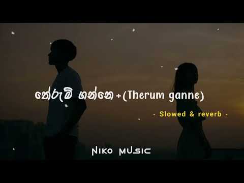 තේරුම් ගන්නේ x Slowed and reverb | Therum ganne | 🤍🕊️ " @Nikomusic_1