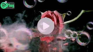Download lagu Berpisah Jua (Karaoke) Ziana Zain mp3