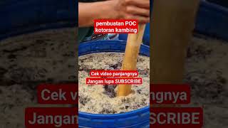 Download lagu Making goat manure POC #organicfertilizer #microbaimobacteria #liquidorganicfertilizer #viral #video mp3