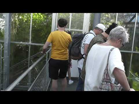 A walk through the Hortus Botanicus of Amsterdam