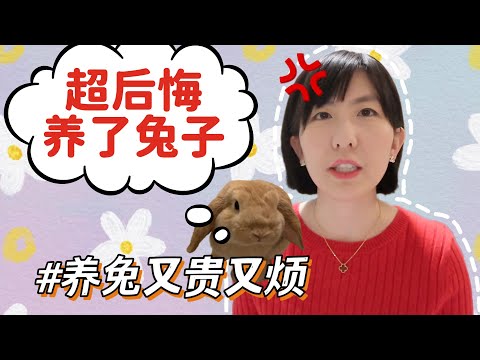 養兔子禁忌