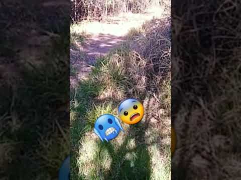 aquiii Lo Vieron Al pombero #pombero #enlavidareal #viral #viralshorts #senderismo #misterios