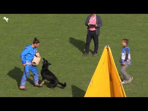 2019 WUSV WM   IGP World Cup   C