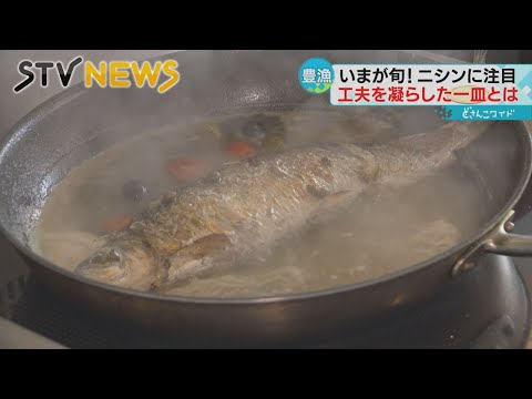 【大漁！ニシンを味わおう】豊漁続くニシン　アレンジしたメニューが好評
