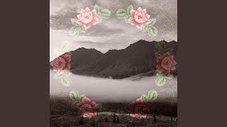 Journey towards the Promised Land