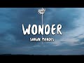 Shawn Mendes - Wonder (Lyrics)