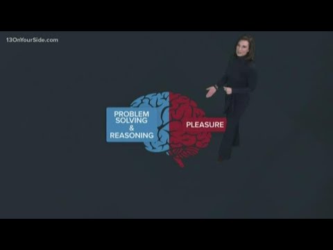 Have more fun, by having no fun at all - Dopamine Fasting