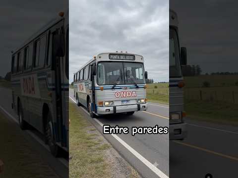 Un recuerdo alimenta el alma