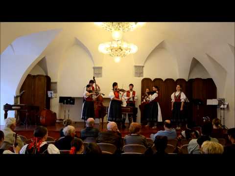 Muzičky 2013 podruhé - CM Bělina - Stojí hruška v poli