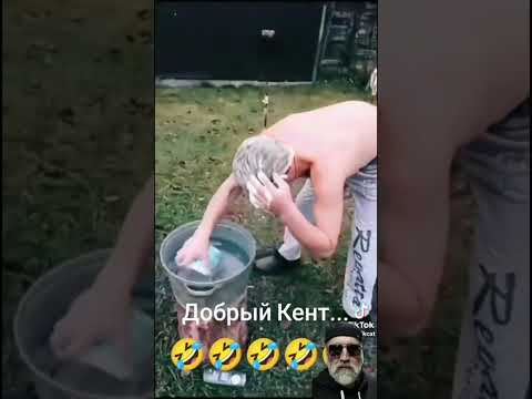 Настоящий друг. Не то что некоторые🤣 #лучшее #топ #юмор #прикол #реки #анекдоты #смех #анекдоты