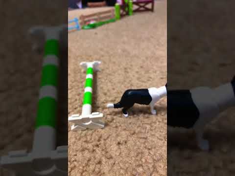 lol they both cheated!!