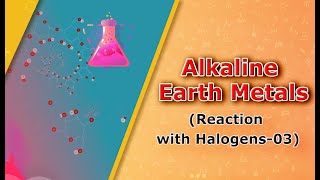 Alkaline Earth Metals (Reaction with Halogens-03)