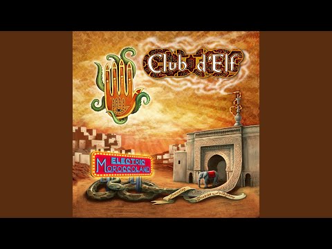 Brahim Runs the Chaabi Down (Live)