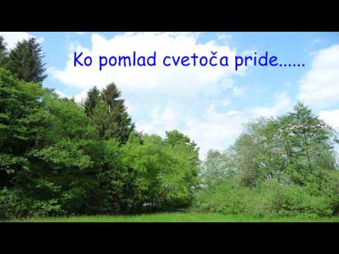 Pomlad v TRZINU in pevka SILVA KOSEC - Ko pomlad cvetoča pride...