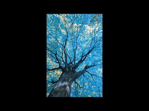 neoprada - this time + victxrw (prod negative.creeper & blxty)