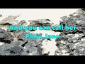 Sammy Hagar - Plain Jane (with Lyrics)