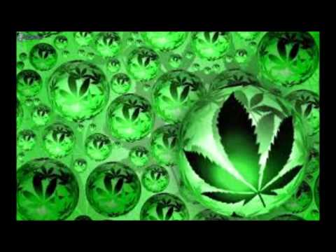 Borys - Kolorowa codzienność