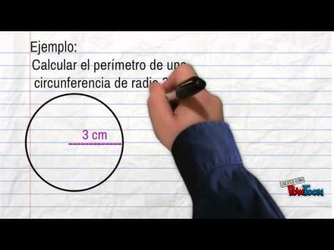 circunferencia perimetro y arco