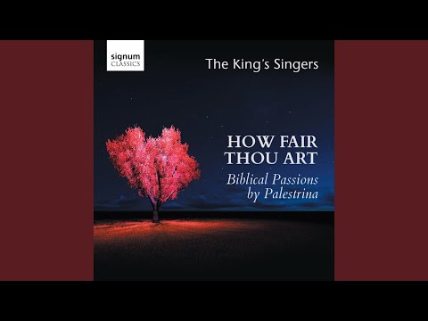 Surge, propera amica mea