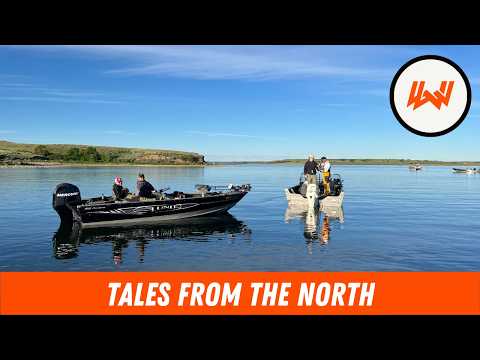 Episode 120 // Tales from The North