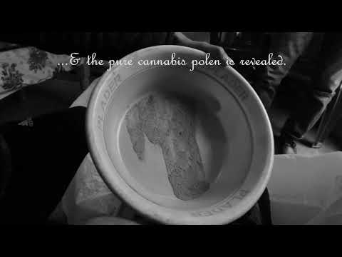 Making of Moroccan hashish: Morocco - Croatia 1:0